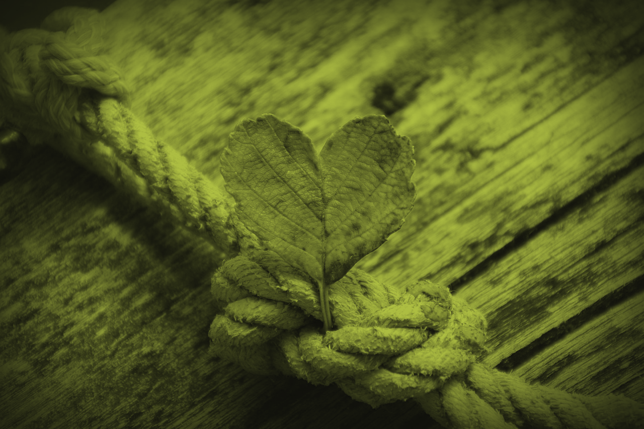  Green leaf shaped heart coming out of a rope